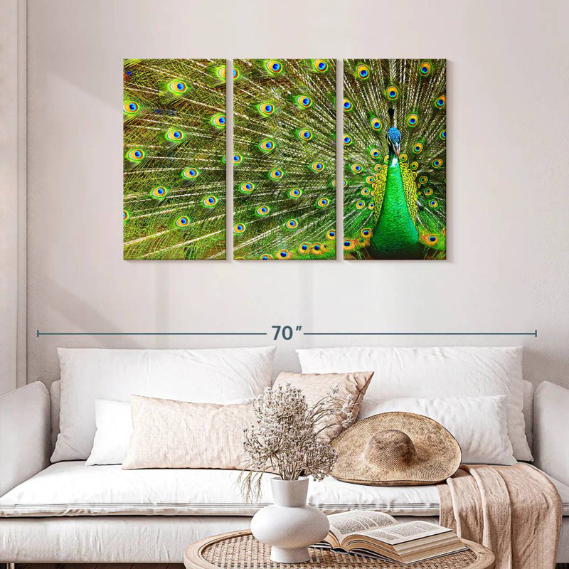 Brampt Showing Off Peacock Feathers, 28" H x 45" W