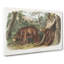 Cinnamon Bears by J.W. Audubon - Wrapped Canvas Painting-55371261