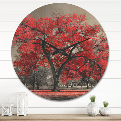 Solid Wood Wall Clock
