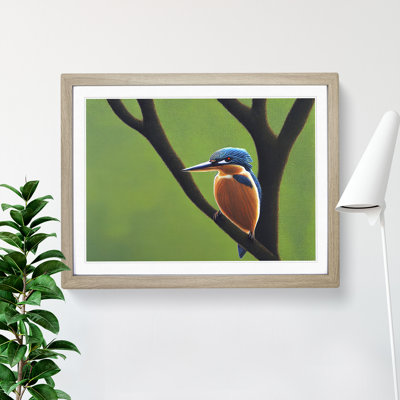 Beguiling Kingfisher Bird 1 Piece Single Picture Frame Wall Art
