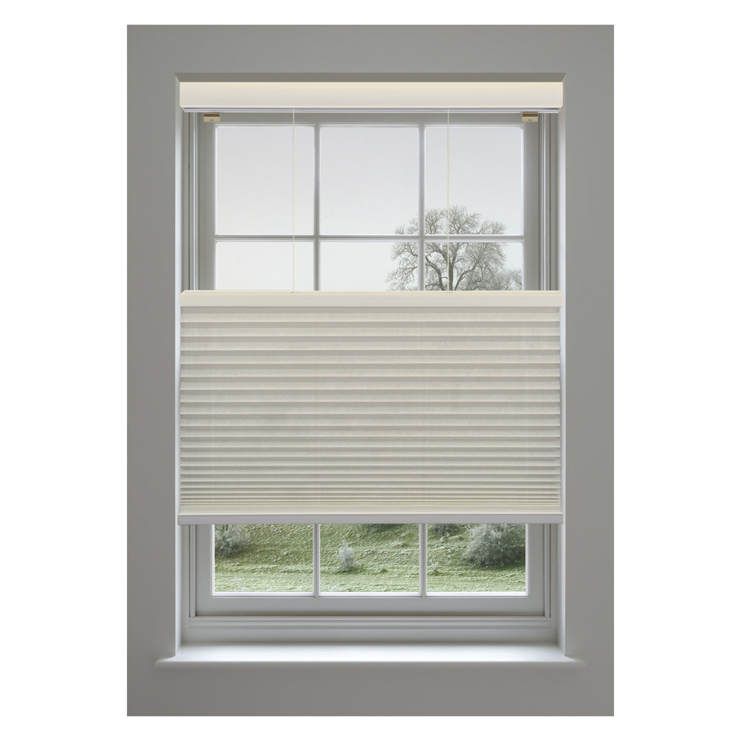 Room Darkening Cellular Shade Linen Avenue 