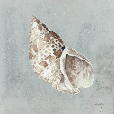Sable et coquillages II