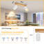 Shelvie Spotlight-939306548
