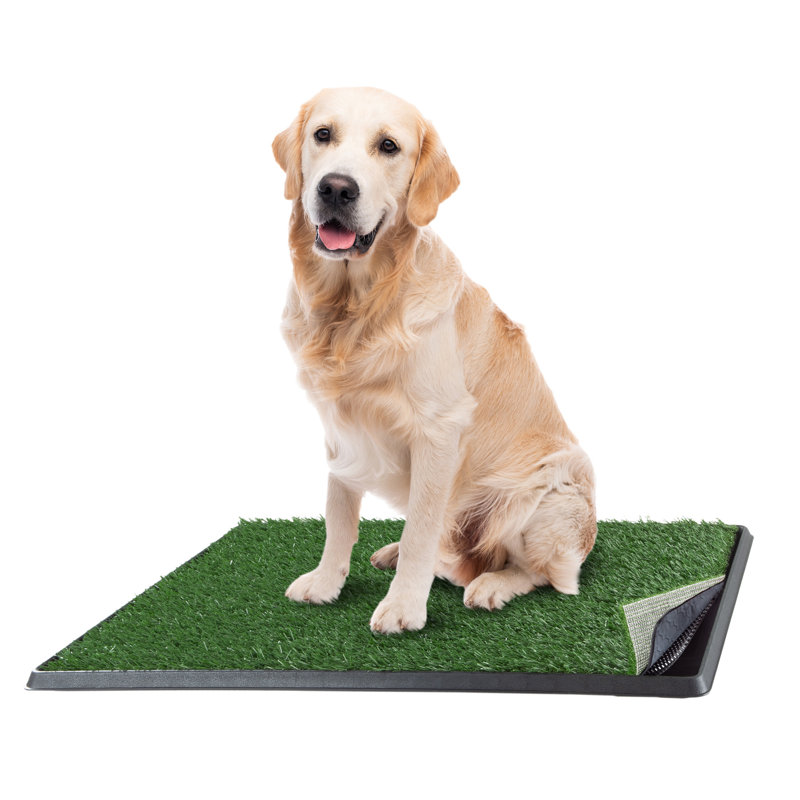 PETMAKER  Reusable 4-Layer Puppy Pee Pad, Large (20.66" W x 31.3" D x 1.57" H)