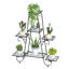 Analecia Plant Stand