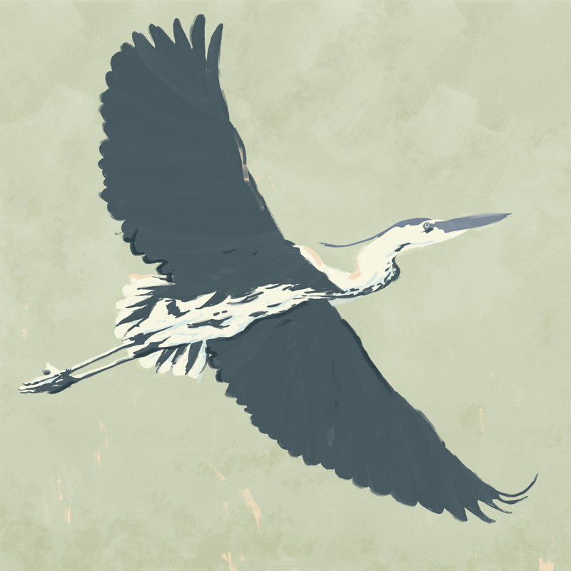 Heron Flying I by Jacob Green - Wrapped Canvas Painting, 51cm H x 51cm W