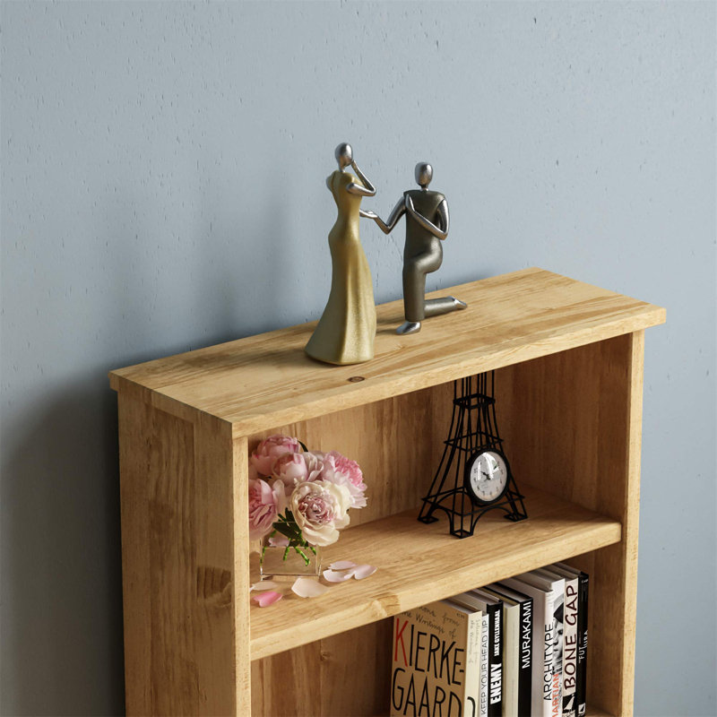 Iggy 96cm H x 50cm W Standard Bookcase