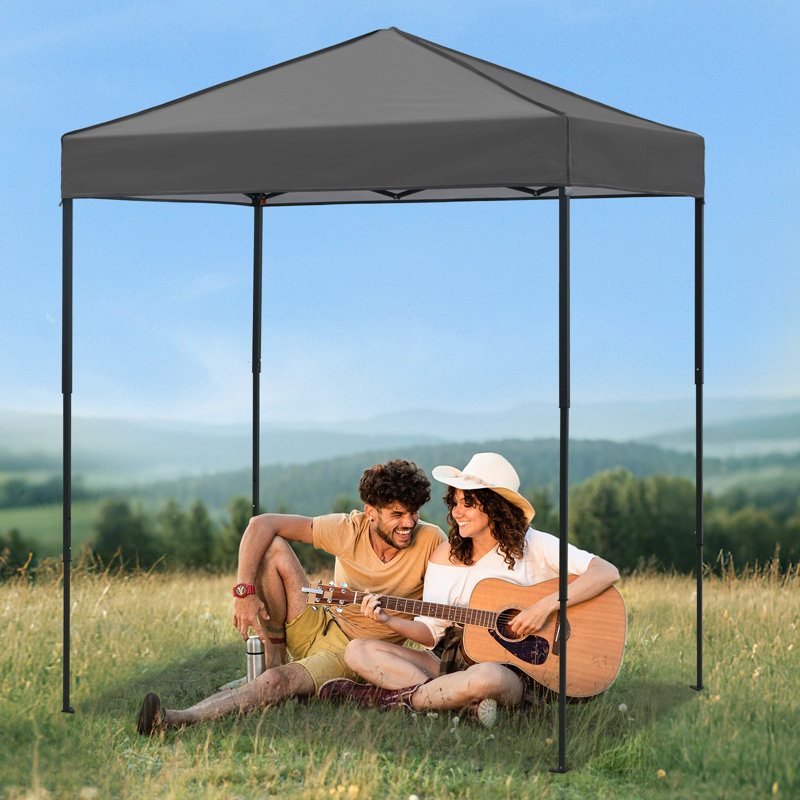 6x4 Canopy Tent, Heavy Duty Pop up Canopy with Carry Bag, Dark Gray