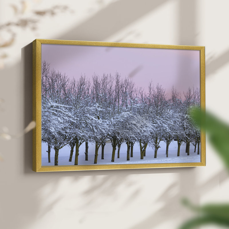 Winter's Beauty -Framed Print - Restickable