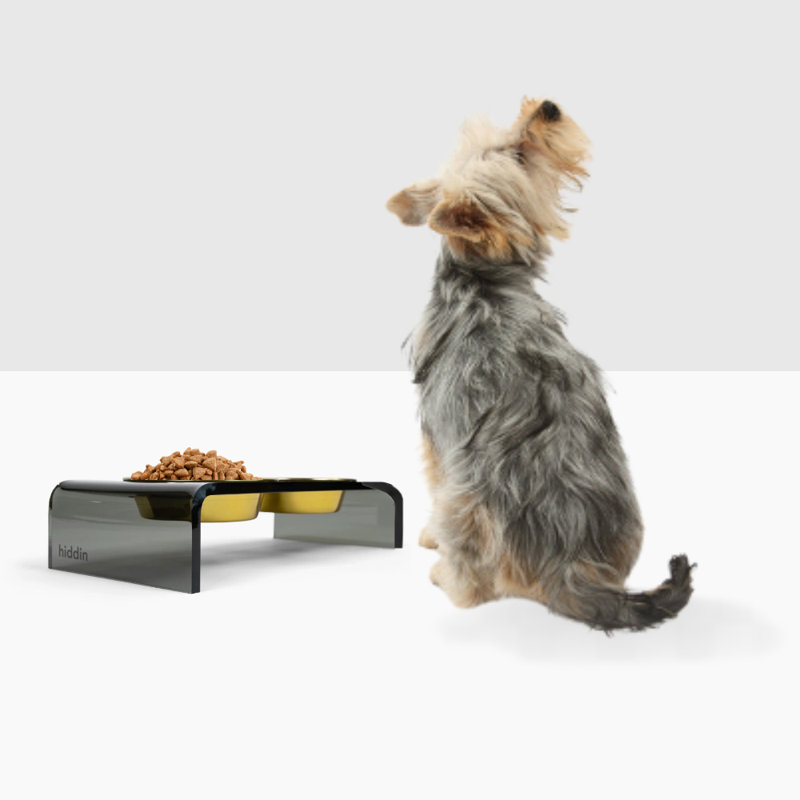 Acrylic Double Bowl Elevated Pet Feeder, Gold