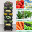 Ensemble de jardinières verticales Strawberry-125530081