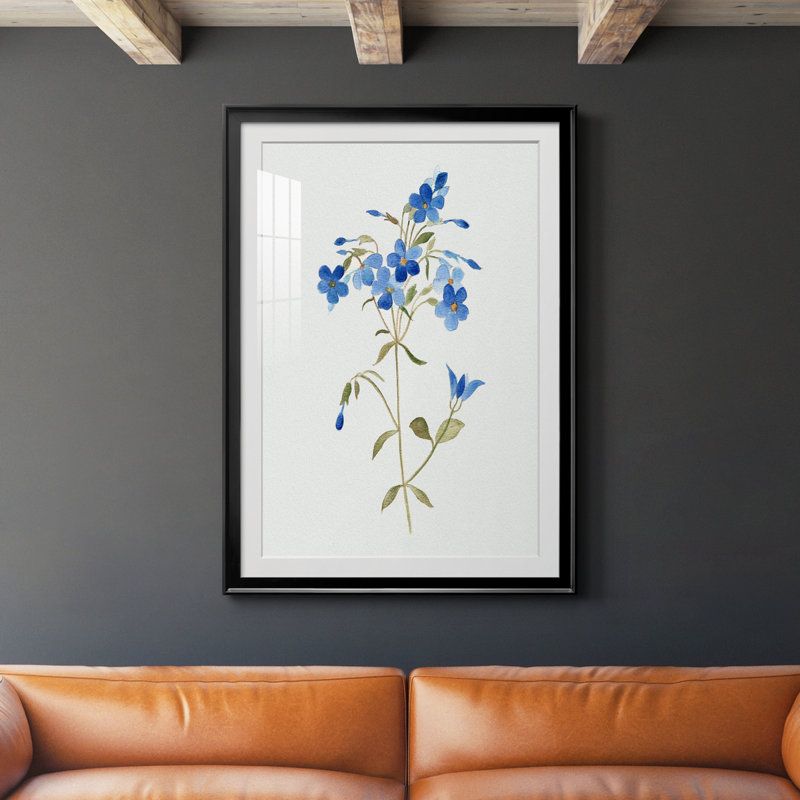 «Blue Blossom Botanical II» - peinture encadrée, H 26,5 po x l 36,5 po x P 1,5 po, Noir