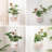 Plant Stand