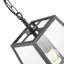 1 - Light Matte Black Lantern Pendant