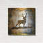 «High Country Deer» par Lightbox Journal sur métal-481165062