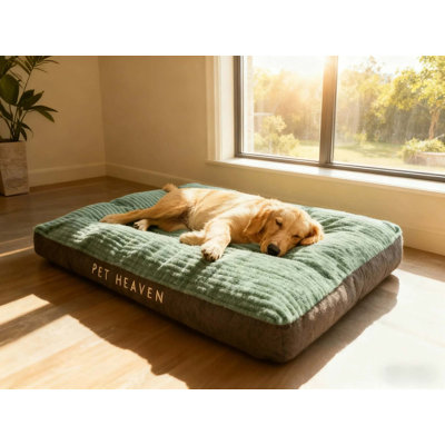 Sac de couchage pour chien