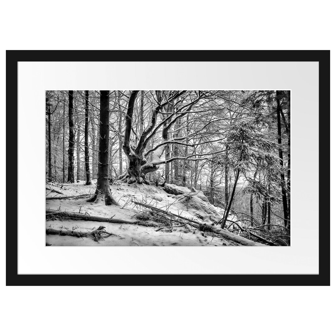 Schneebedeckter Wald Gerahmtes Poster