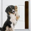 Acrion Metal Pet Door Accessory