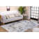 Oriental Area Rug