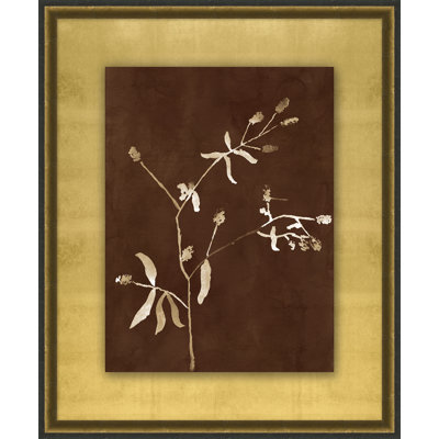Botanist Study 6 Print by Lillian August