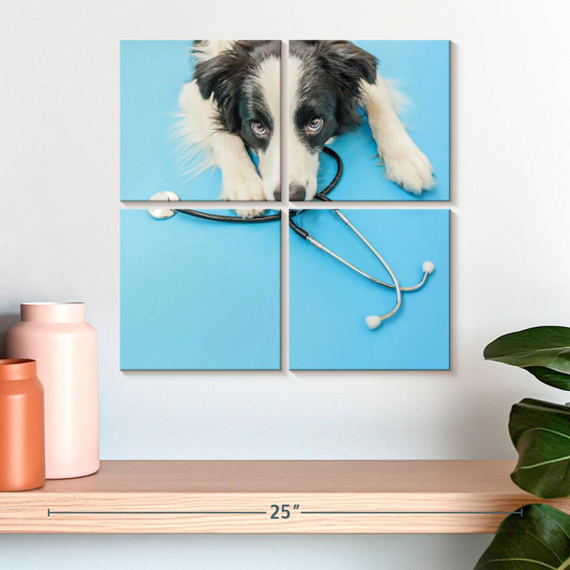 Brampt Dog Doctor, H 18 po x l 18 po