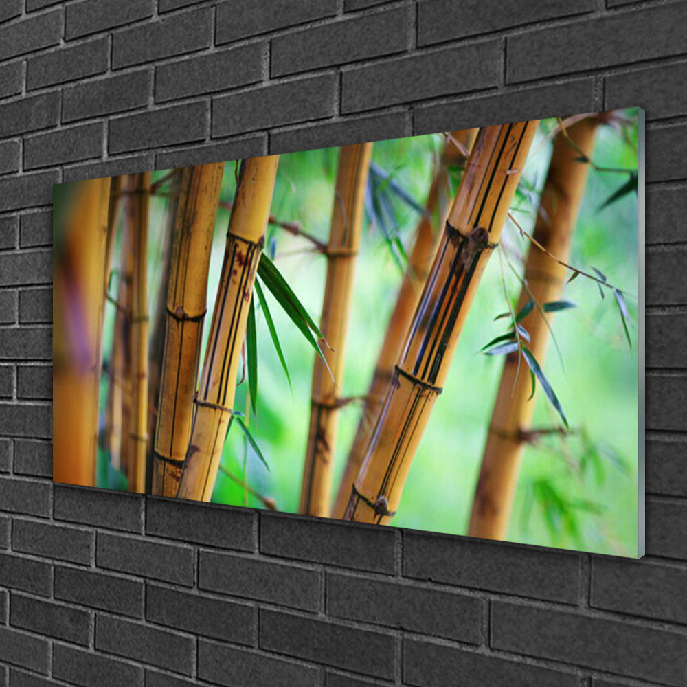 Glasbild Bamboo Nature