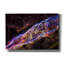 «Veil Nebula» par Hubble Space Telescope, art mural de la NASA-422227138
