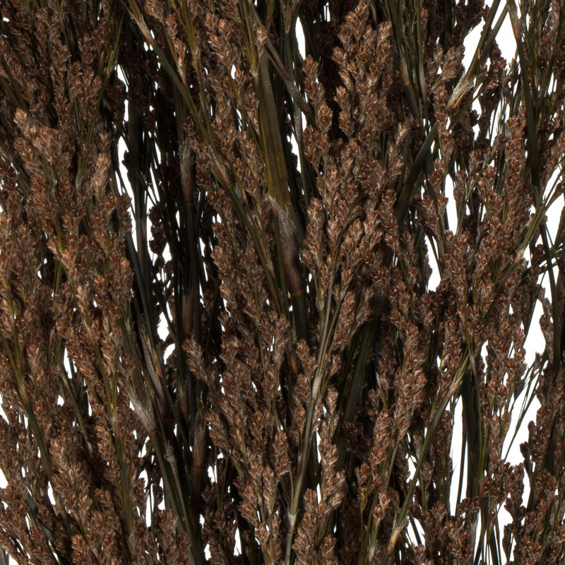40'' Grass