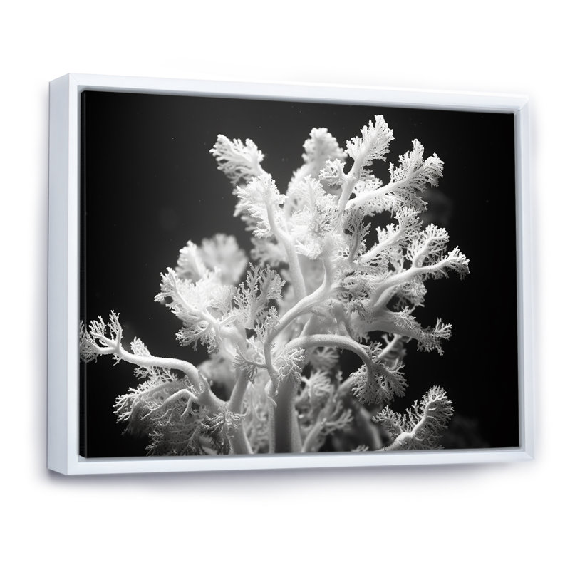 «Black and White Coral Plant I - Beach & Ocean», reproduction sur toile, H 30 po x l 40 po x P 1,5 po, Cadre flottant blanc