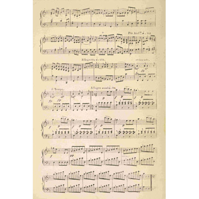 «Musical Notes II» par Wild Apple Portfolio - impression sur toile tendue