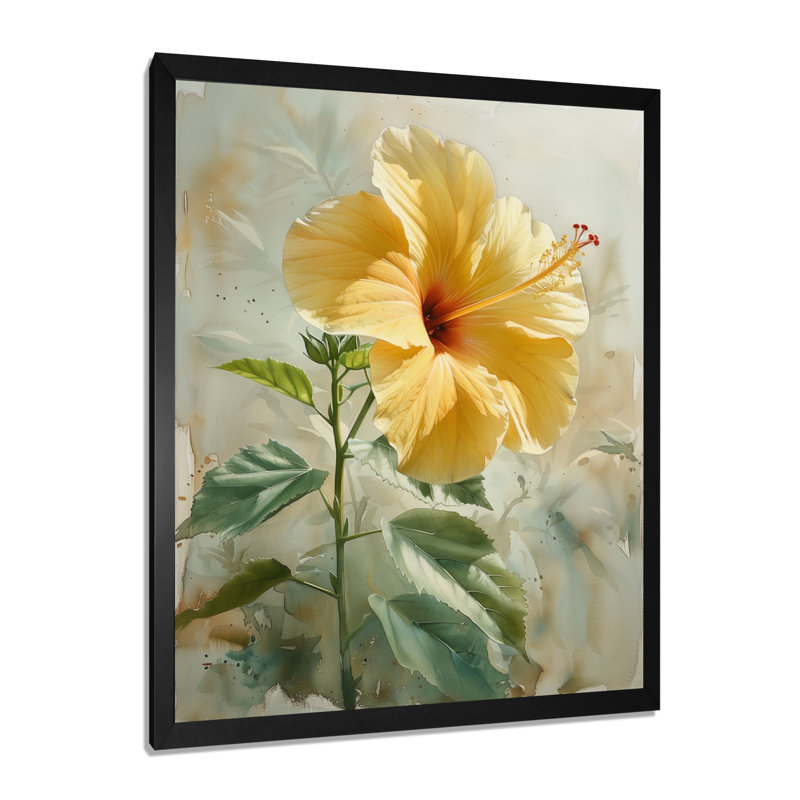 Yellow Spring Hibiscus Bloom - Hibiscus Wall Decor, 34" H x 44" W, Black Single Picture Framed