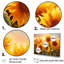 «Burning Sunset Sunflowers Field I», reproduction sur toile-1987700194-1987700217