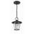 Tranesha Outdoor Hanging Lantern