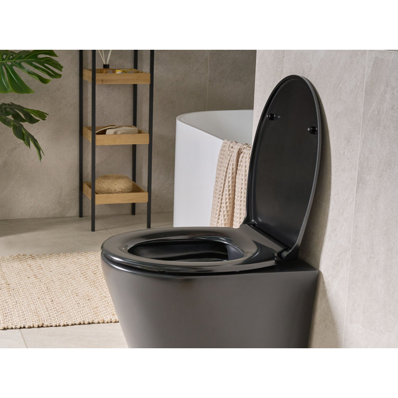 Toilet Seat PAPURI Soft Close Duroplast White, Black