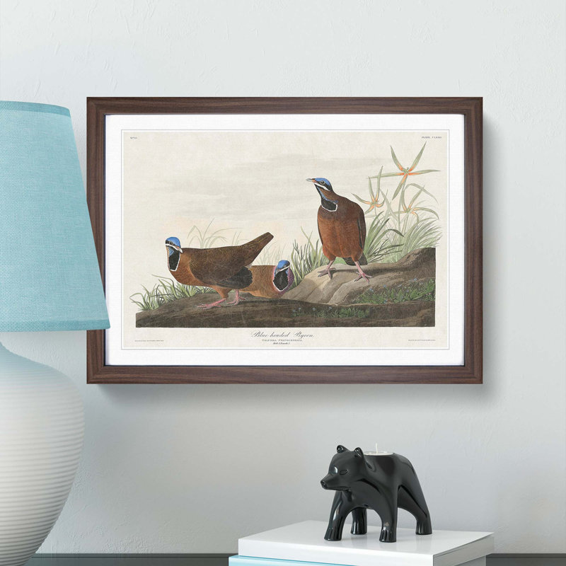 Blue Headed Pigeons by John Audubon - Picture Frame Painting Print, 27cm H x 36cm W x 2cm D, Walnut Framed