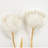 Porcelain Flowers
