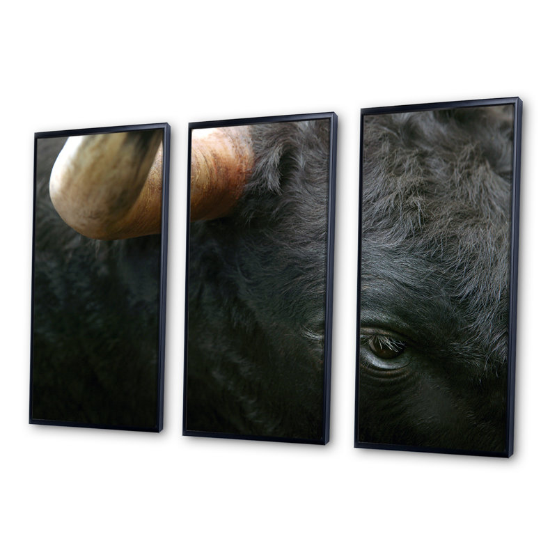 «Fighting Bull Head Close-Up of Eye», 3 pièces, cadre flottant, impression sur toile, H 28 po x l 36 po, Cadre noir