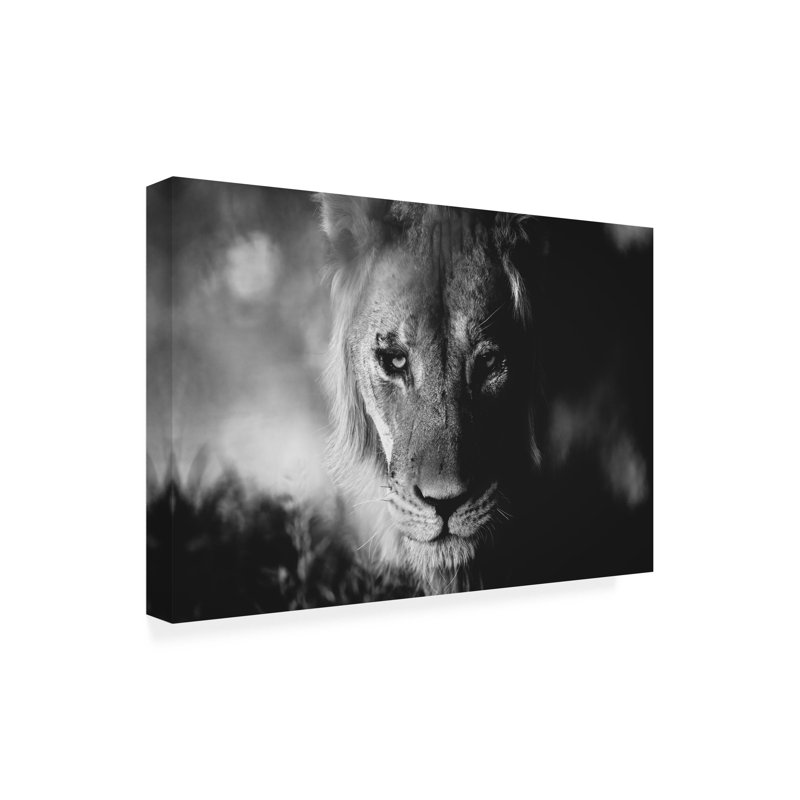 Œuvre sur toile «King Shawn Orbe Kalahari», H 22 po x l 32 po