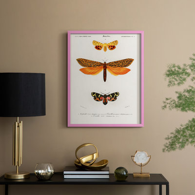Reproduction encadrée vintage animalier XXIV - bois massif