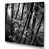 Wrapped Canvas
