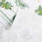 Martha Stewart Herbs Lint-Free Kitchen Towel 3-Pack Set