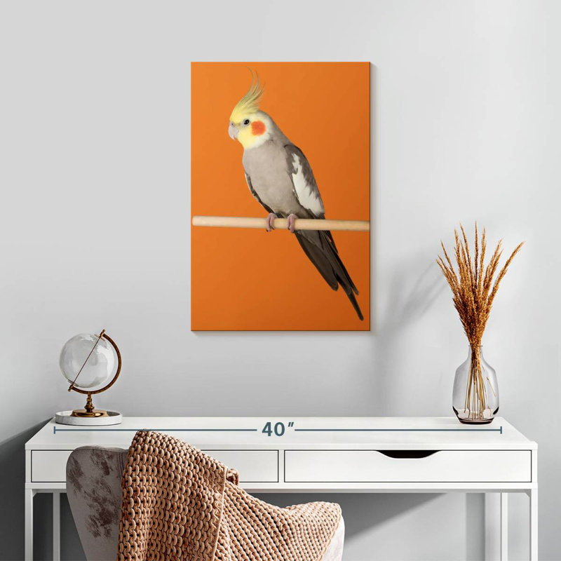 Brampt Cockatiel, 24" H x 16" W