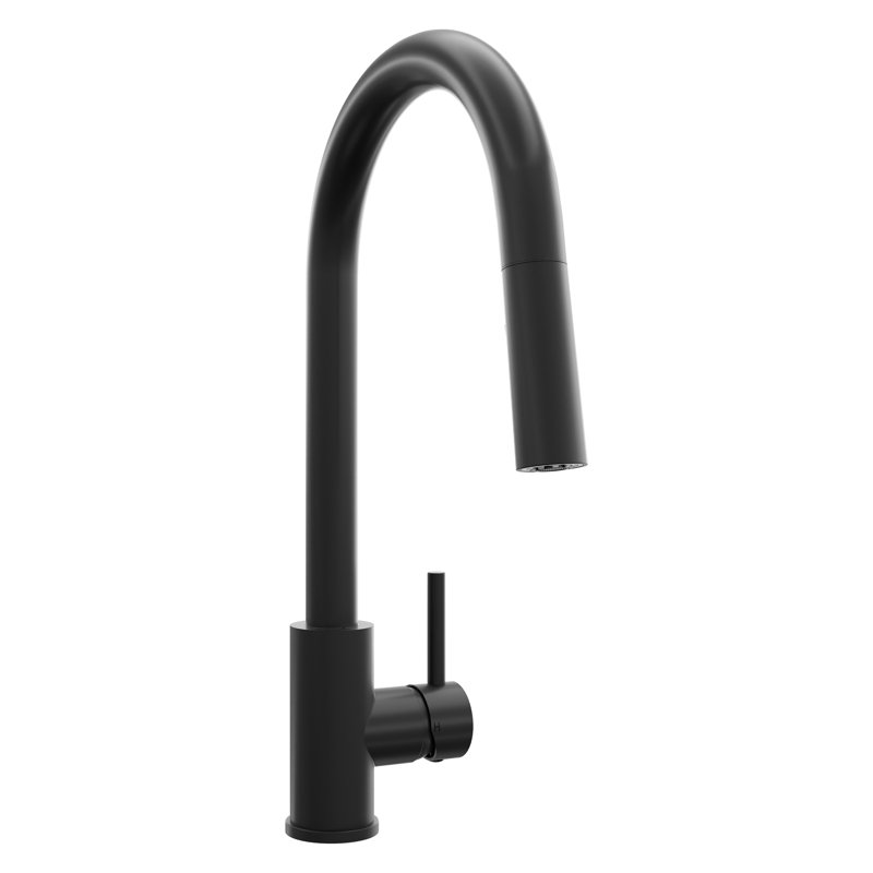 ZLINE Palisades Pull Down Single Handle Kitchen Faucet in Matte Black, Matte Black