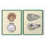 Coquilles bivalves III - reproduction encadrée de qualité supérieure - prête à être accrochée - aucun clou requis - aucun clou requis-166827946-166827947