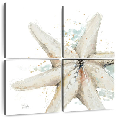 Aletra Water Starfish