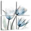 Tulipes Harnek Glacier I