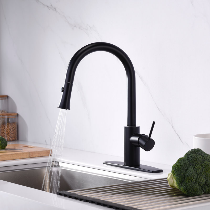Euro Collection High-Arc Single Handle Kitchen Faucet with 2-Function Pull-Down Spout Sprayer - Matte Black, Matte Black