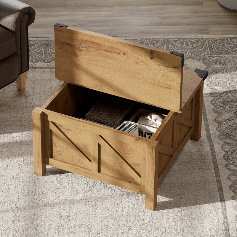 Table basse avec rangement Laziza, Brun, Brun