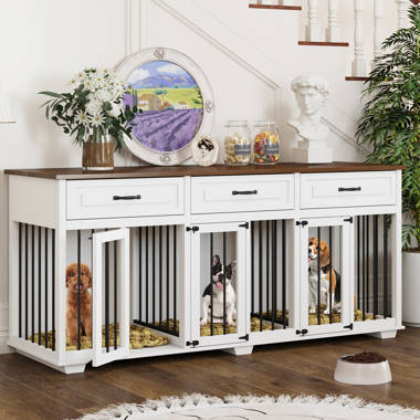 Dorilal 15 - Shelf Storage Cabinet Tucker Murphy Pet