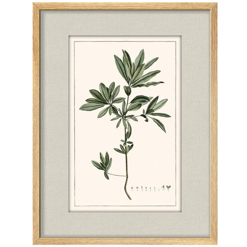 Botanical Herb Framed Wall Art Prints - Minimal Green Plant for Kitchen Dining Room, Natural, 14" H x 11" W